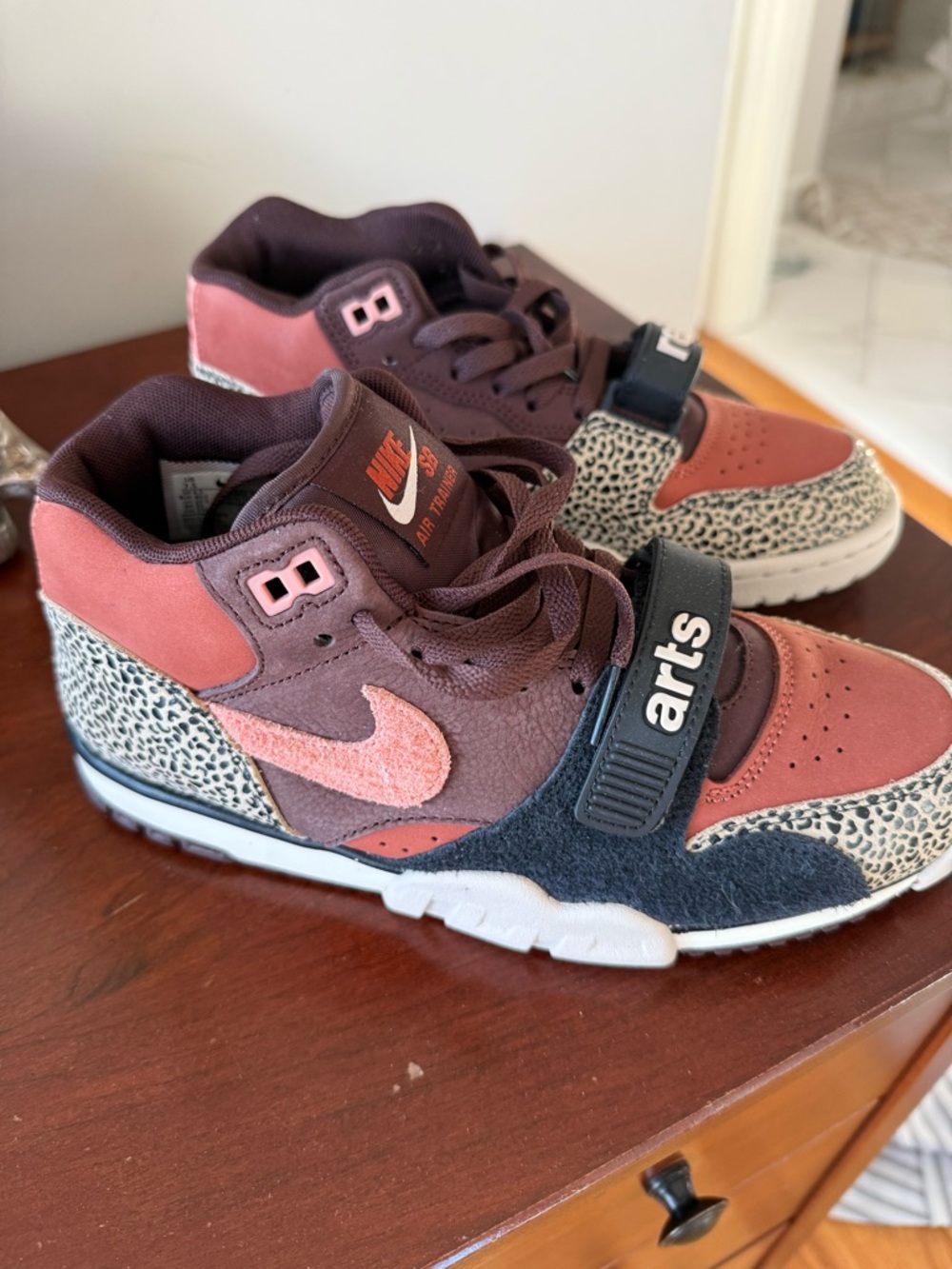 Nike SB Air Trainer Arts-Rec